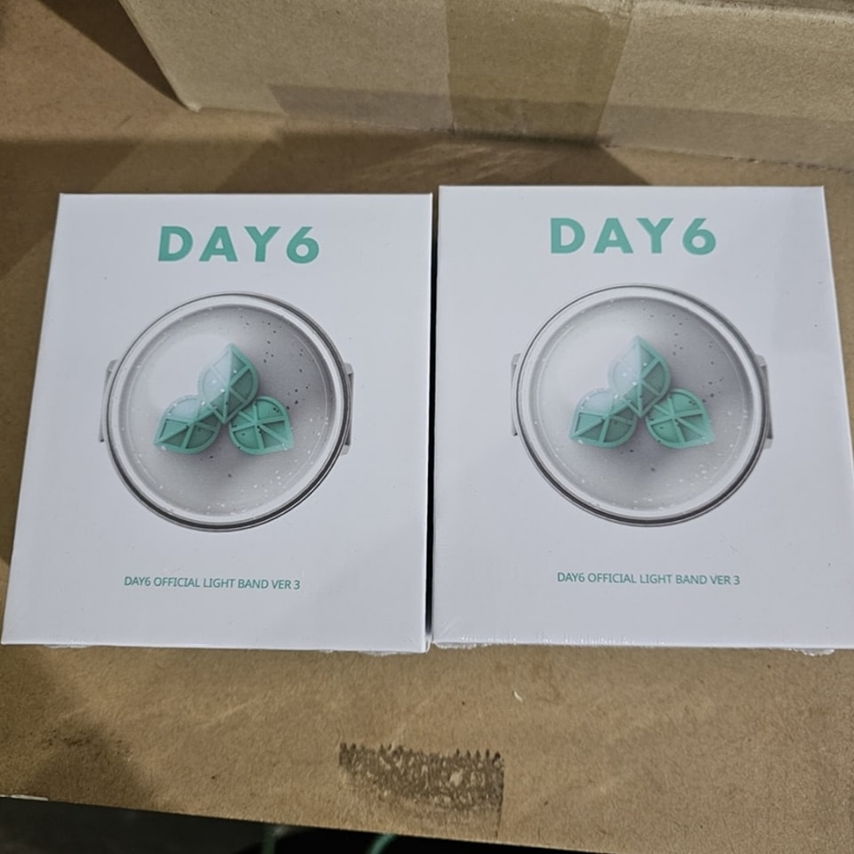 DAY6 官方手燈手環