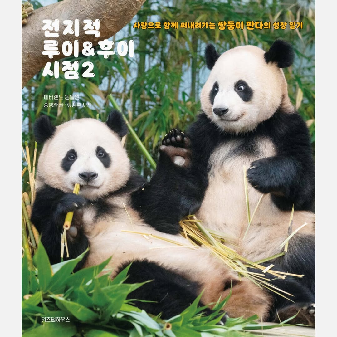 愛寶樂園全知睿輝視覺