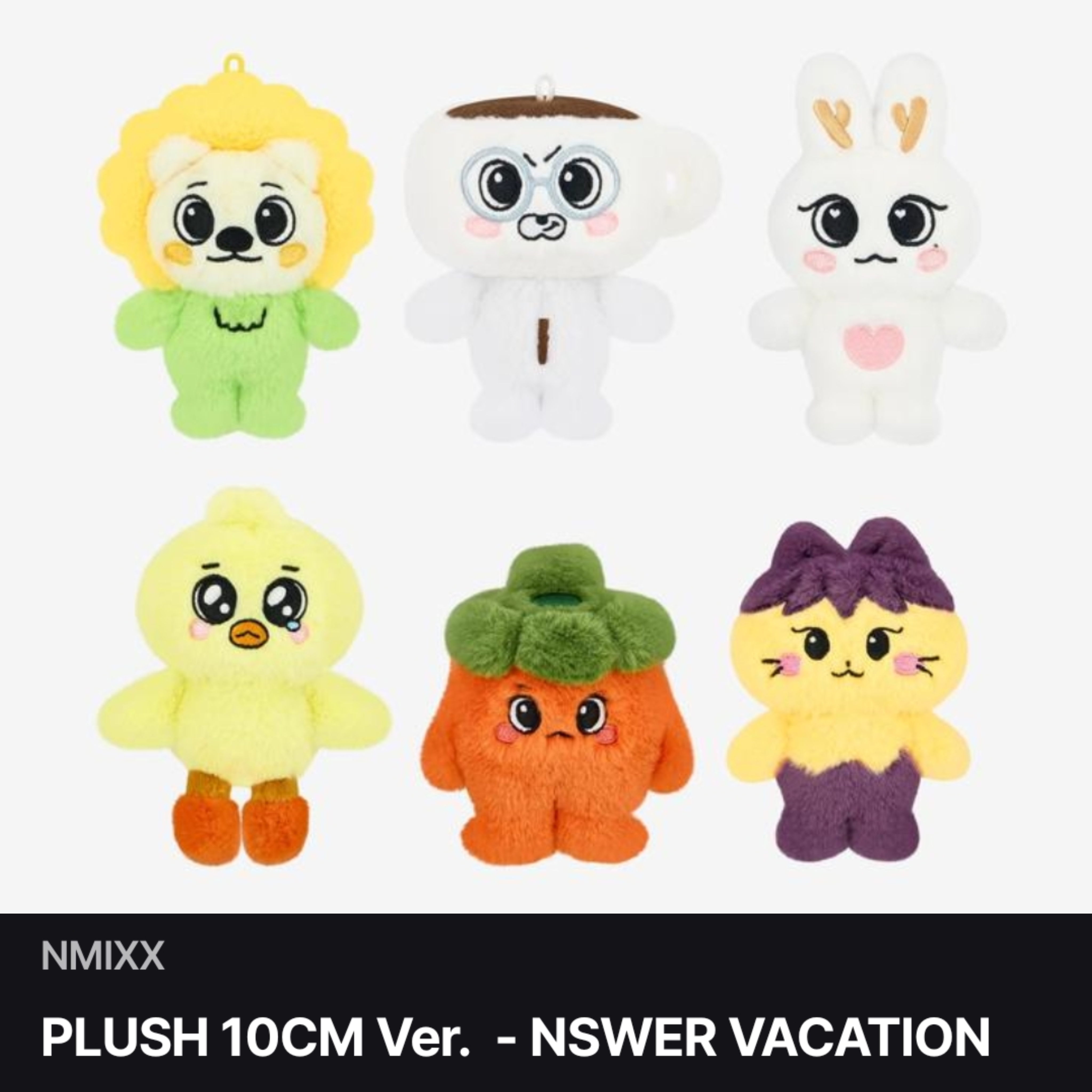 NMIXX NSWER VACATION FM官方周邊