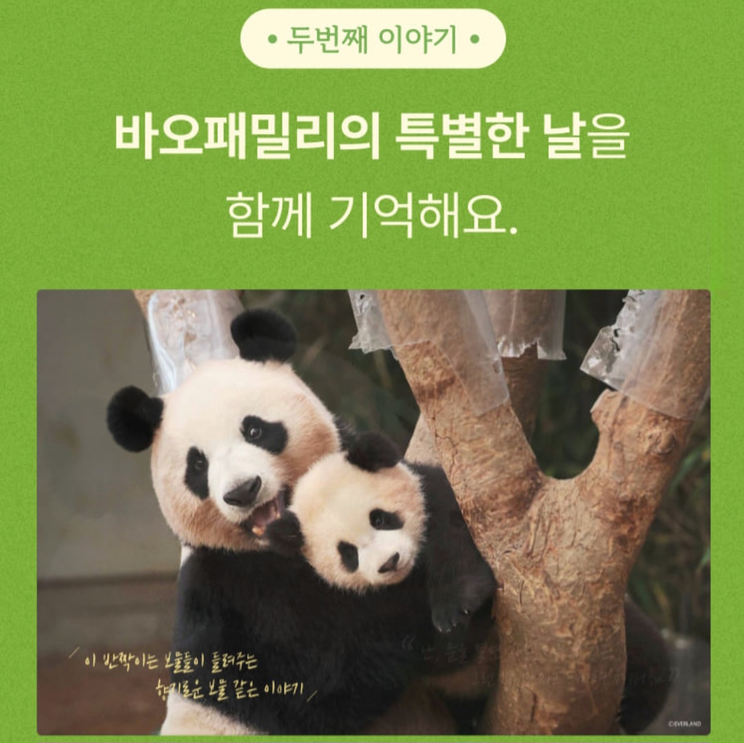 愛寶樂園 寶家族 Seasons Greetings 2026